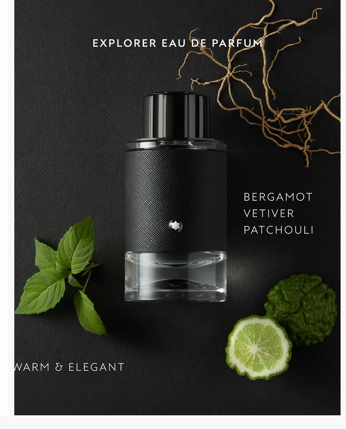 Second image of Montblanc Explorer